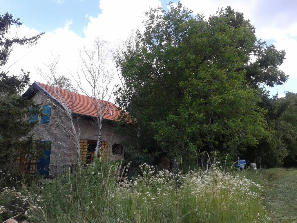 Lodging Vidmar Сремски Карловци Екстериор снимка