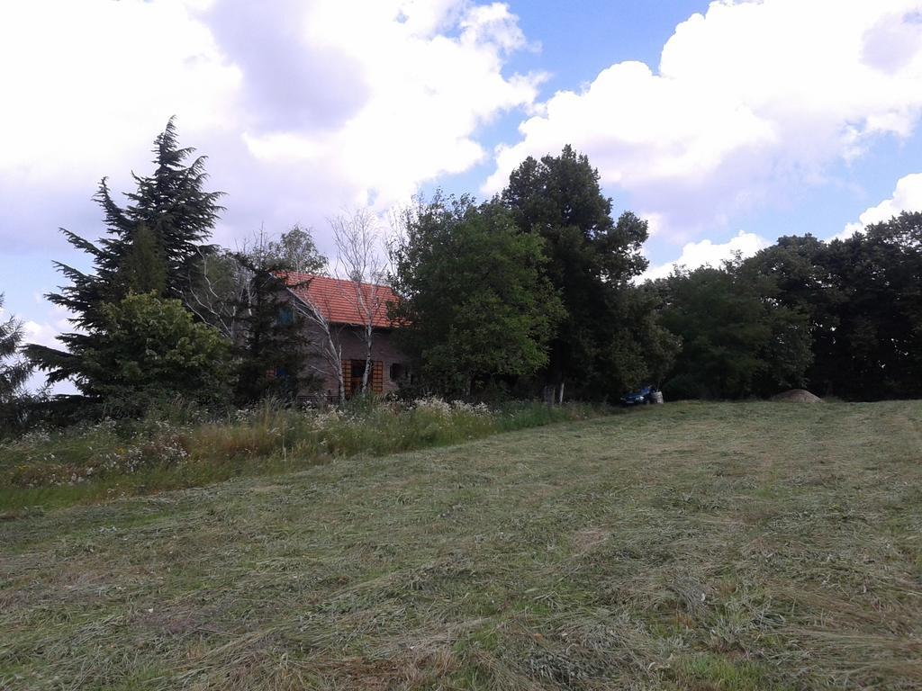 Lodging Vidmar Сремски Карловци Екстериор снимка