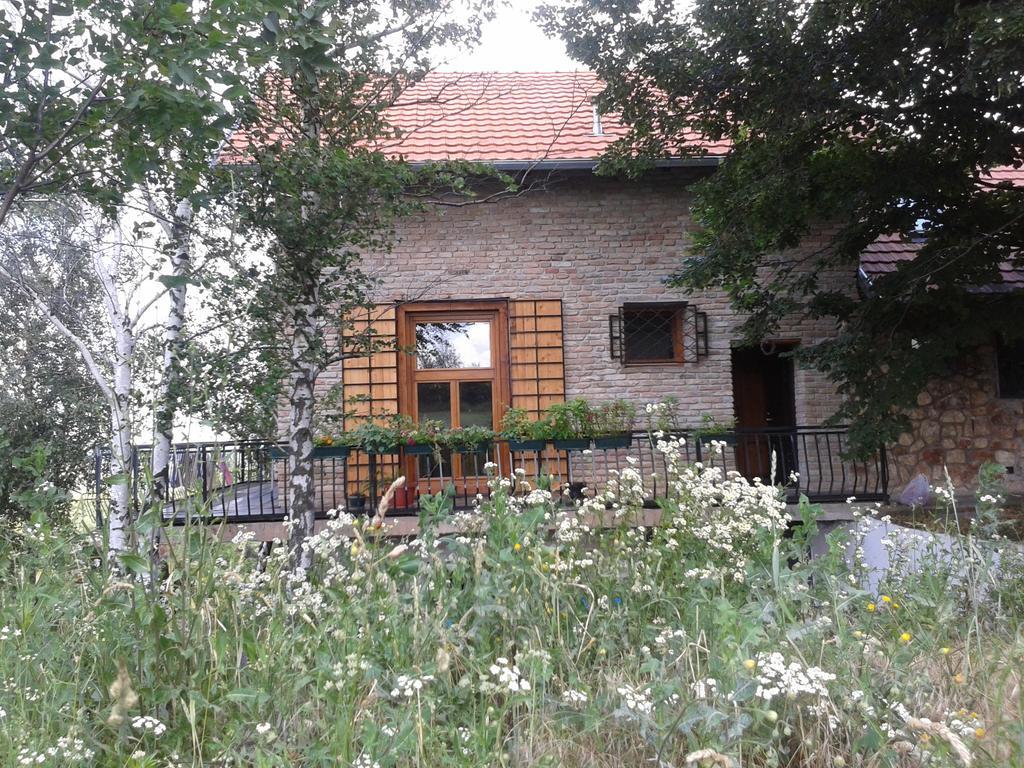 Lodging Vidmar Сремски Карловци Екстериор снимка